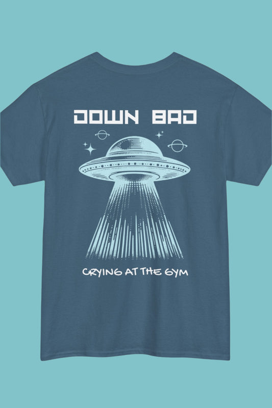 Book Hangover Protocol T-shirt